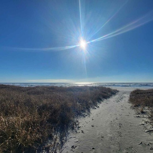 LEES_FINDS Live Shows Tag List Tuesdays 8pm EST - Picture 4 of 14